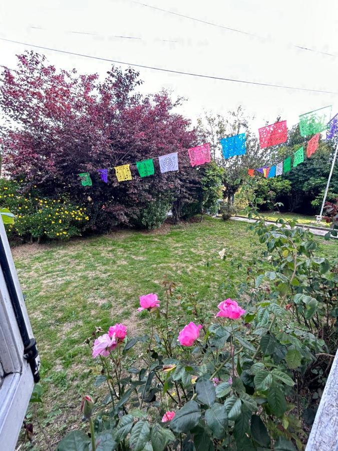 Purple Fox Hotel Ancud Exterior photo